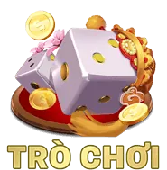 Hệ thống báo cáo pp88